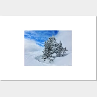 Snowy Tree Posters and Art